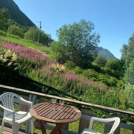 House Appartamento Gryllefjord